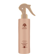 Arganmidas Nourishing Curls Detangling Hair Spray