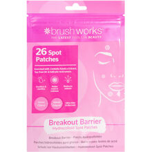 Brushworks Breakout Barrier Spot Patches