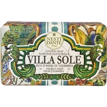 Villa Sole Fichi d'India Di Taormina - Soap