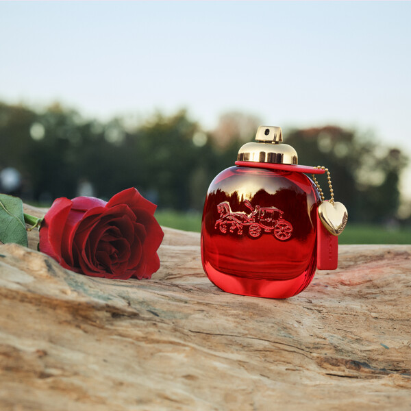 Coach Love - Eau de parfum (Bild 8 av 10)