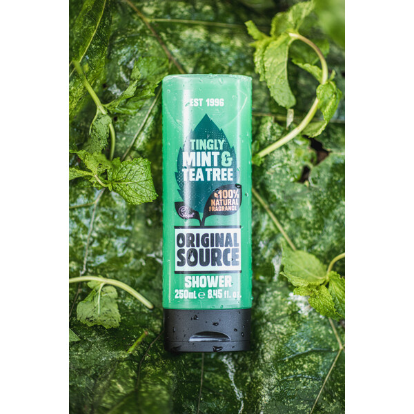 Original Source Tingly Mint & Teatree Shower (Bild 4 av 4)