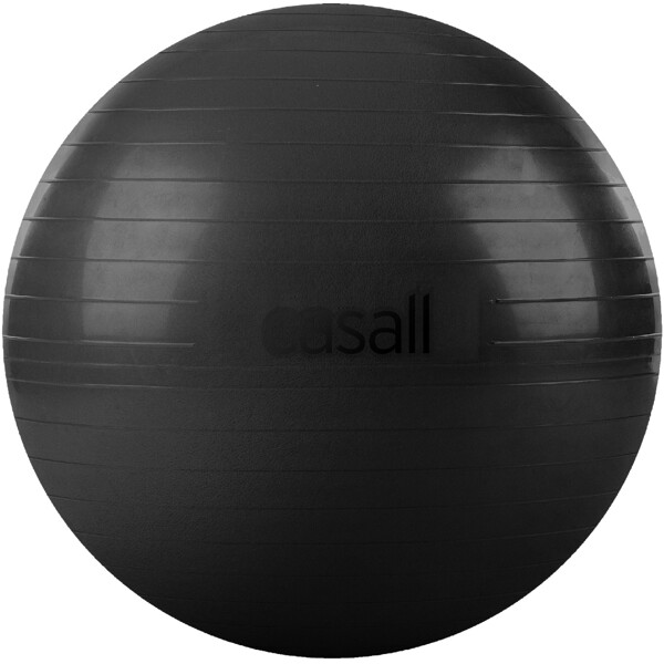 Casall Exercise Ball 60-65cm