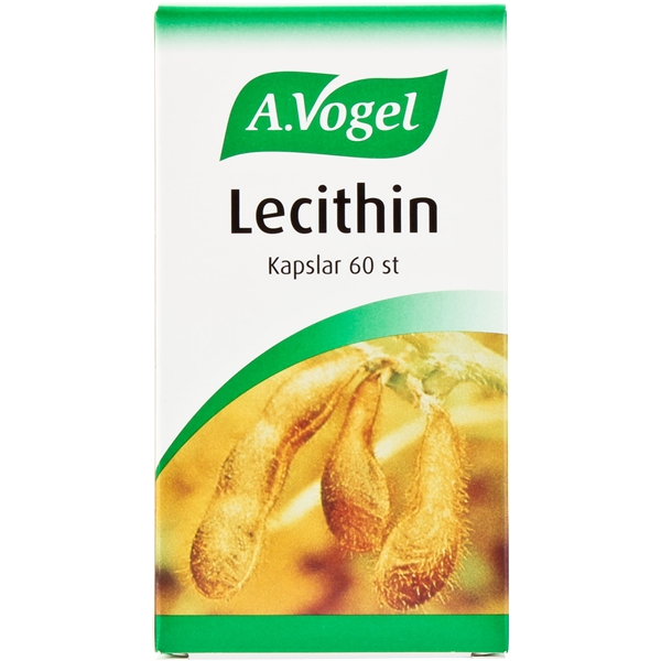 Lecithin