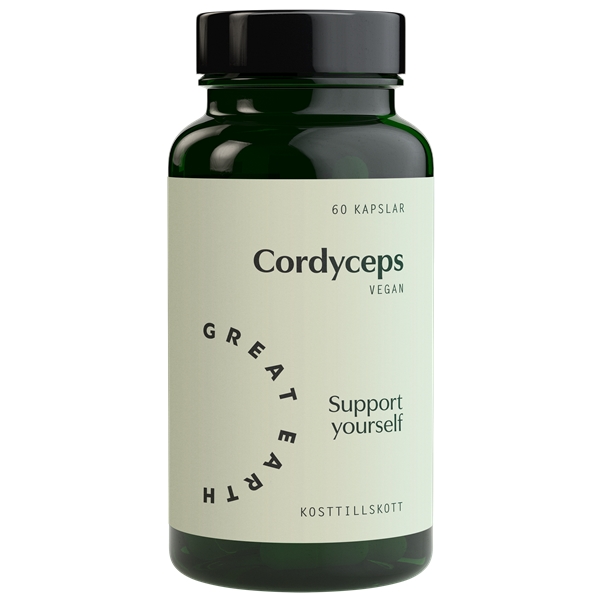 Cordyceps