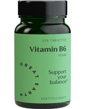 Great Earth Vitamin B6