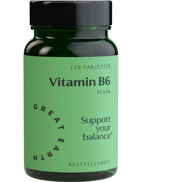 Great Earth Vitamin B6