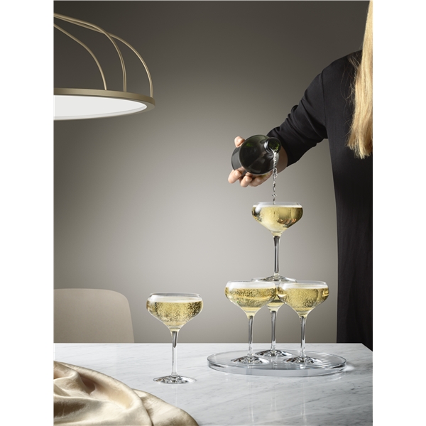 More Champagne Coupe 4-pack (Bild 2 av 2)