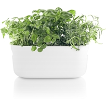 Vit - Eva Solo Herb Organiser Självbevattningskruka