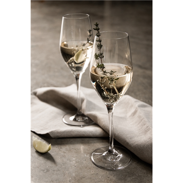 Sense Champagne/Drinkglas 2-pack (Bild 2 av 4)