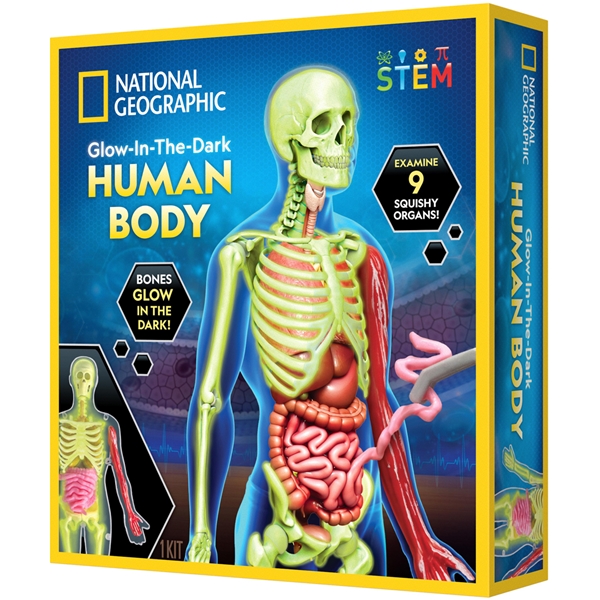 National Geographic Human Body Science Kit