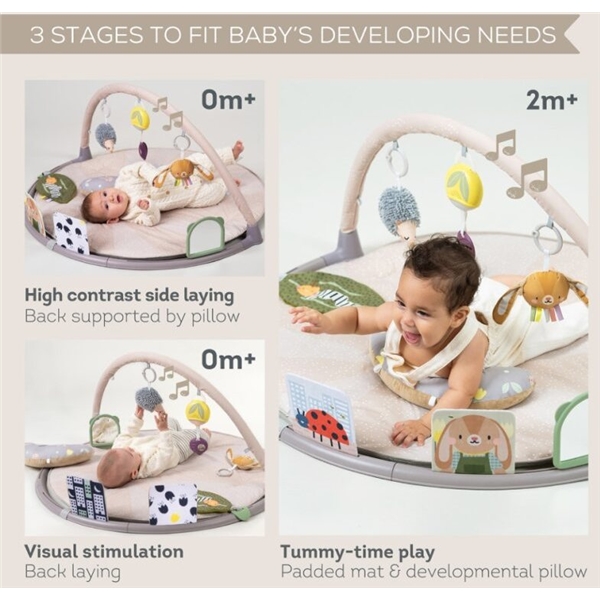 Taf Toys Tummy-Time Activity Gym (Bild 3 av 4)